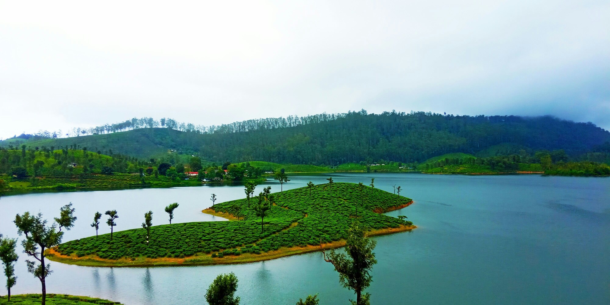 Thiruvannamalai to Ooty Cabs